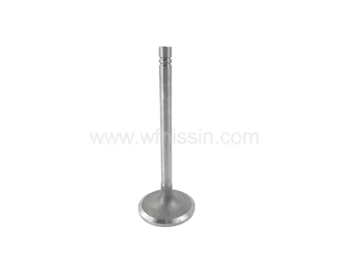 Intake Valve